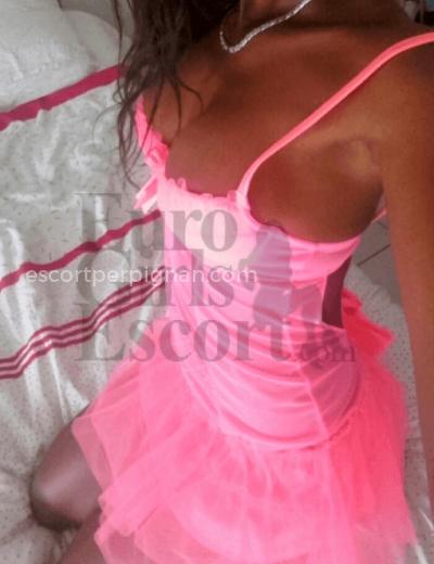 Escort Trycia recois midi et soir seulement - Photo 1 №70